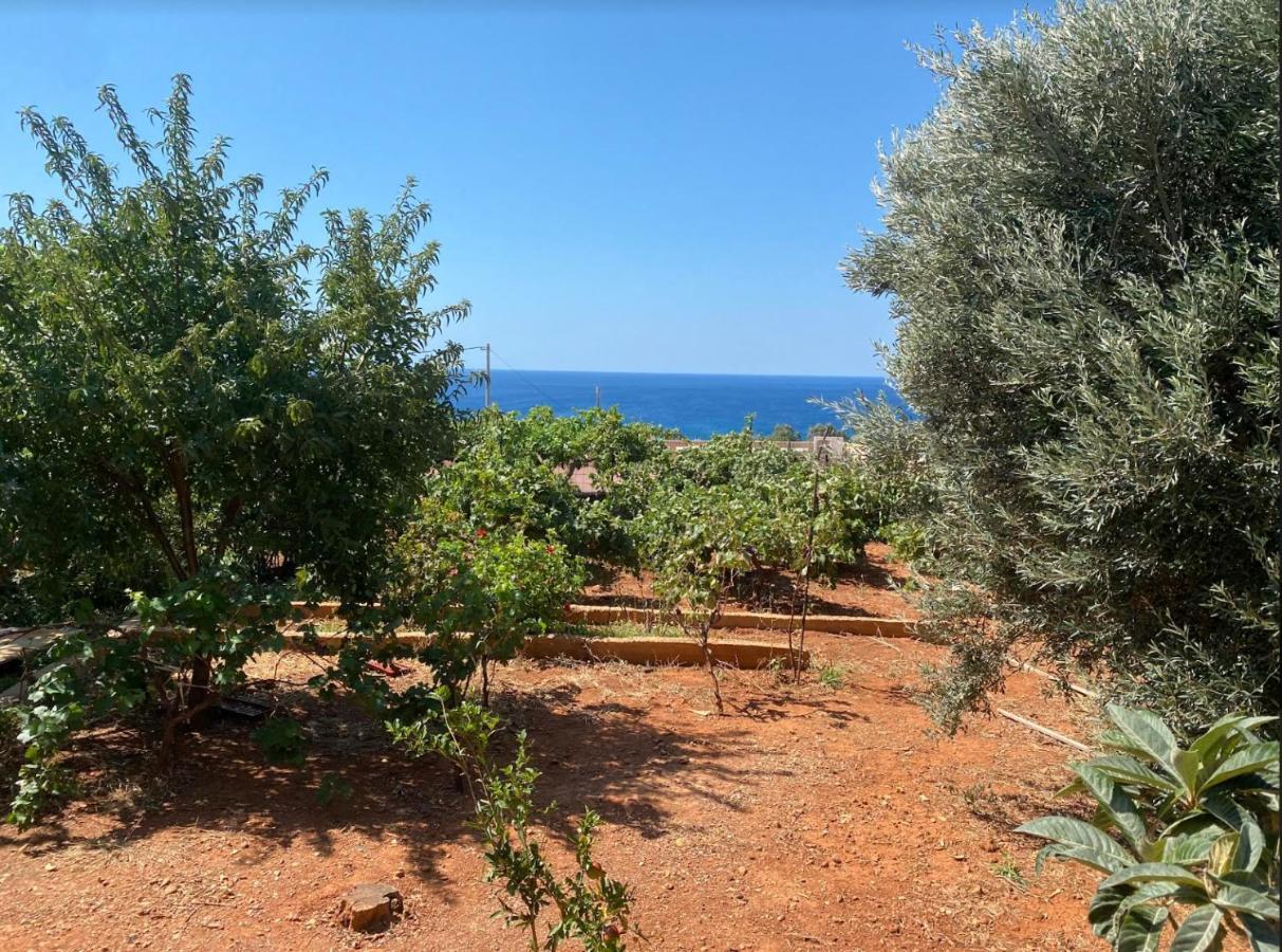 Vine Veranda Palaiochora Exterior photo